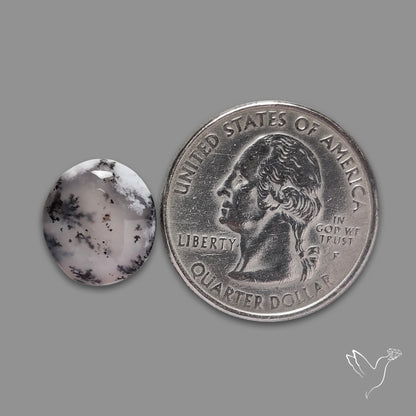 Dendritic Agate Cabochon