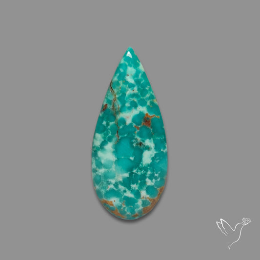 Arizona Patagonia Turquoise Cabochon