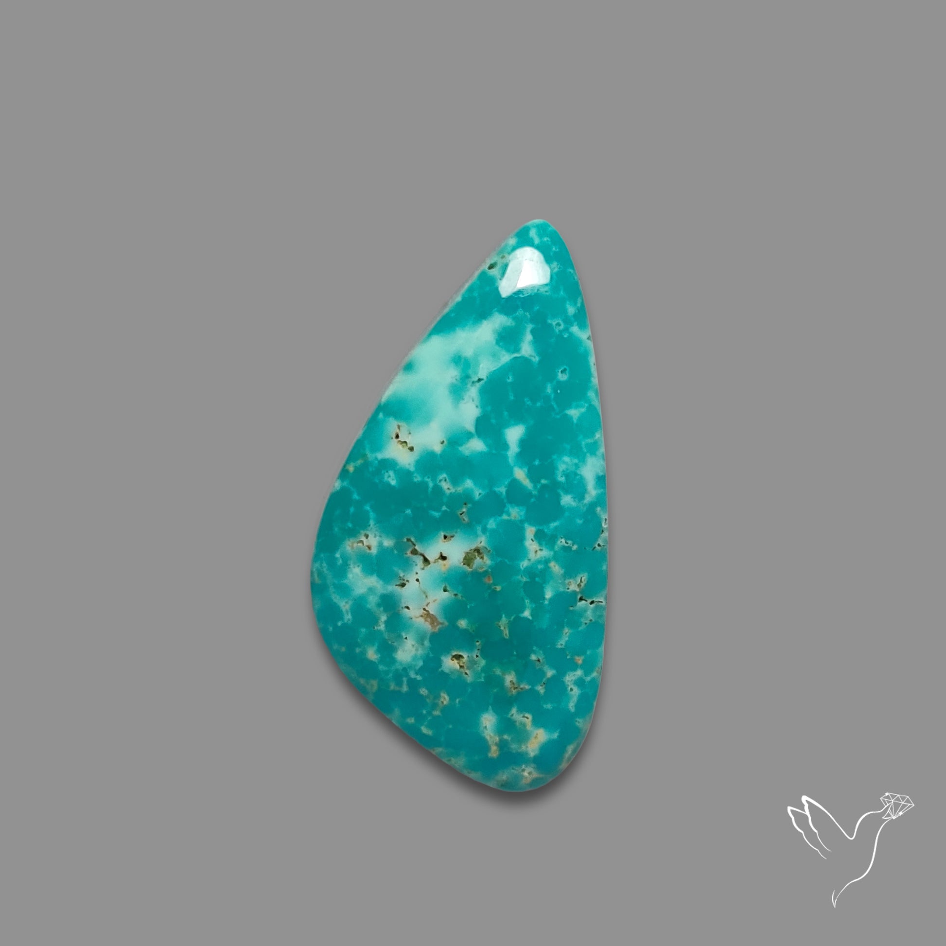 Arizona Patagonia Turquoise Cabochon