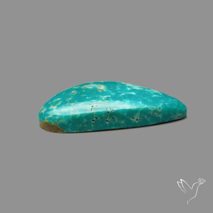 Arizona Patagonia Turquoise Cabochon