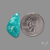 Arizona Patagonia Turquoise Cabochon