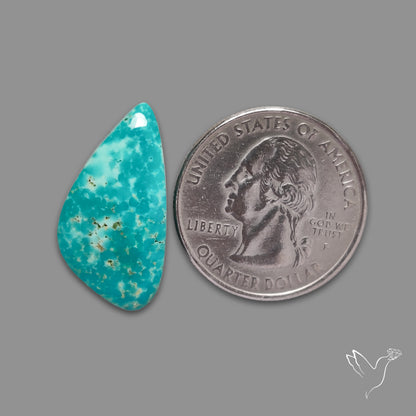 Arizona Patagonia Turquoise Cabochon