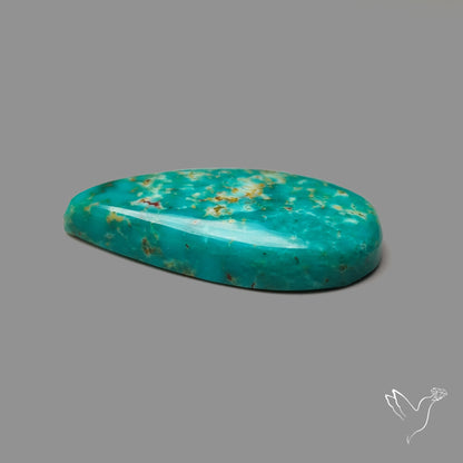 Arizona Patagonia Turquoise Cabochon