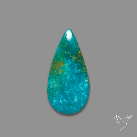 Arizona Patagonia Turquoise Cabochon