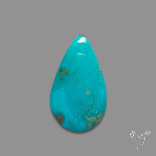 Arizona Patagonia Turquoise Cabochon