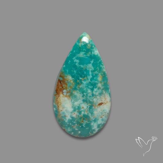 Arizona Patagonia Turquoise Cabochon