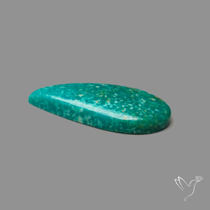 Arizona Patagonia Turquoise Cabochon