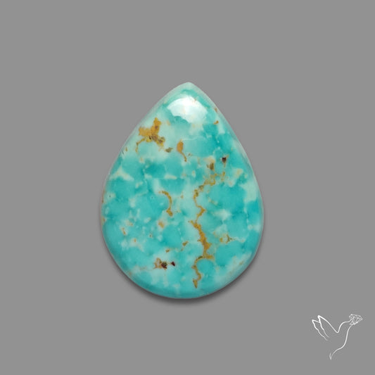 Arizona Patagonia Turquoise Cabochon