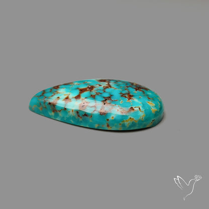 Arizona Patagonia Turquoise Cabochon