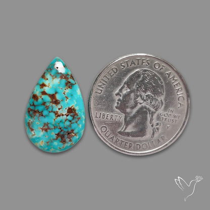 Arizona Patagonia Turquoise Cabochon