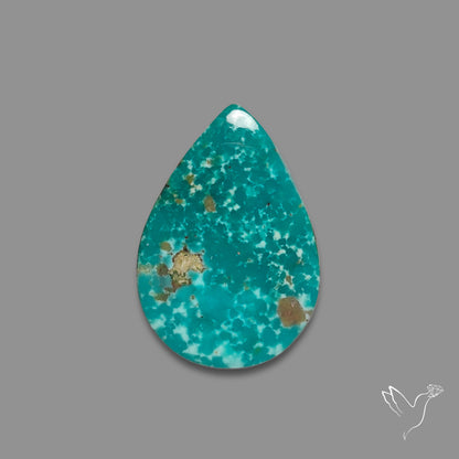 Arizona Patagonia Turquoise Cabochon