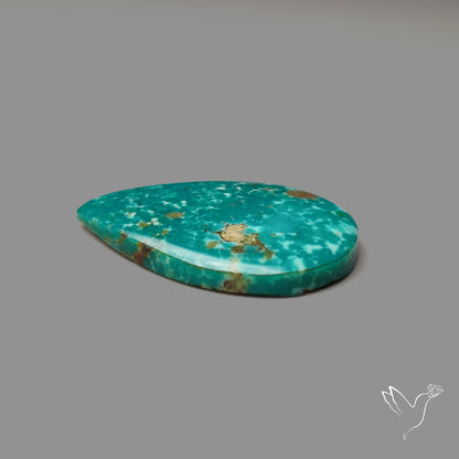 Arizona Patagonia Turquoise Cabochon