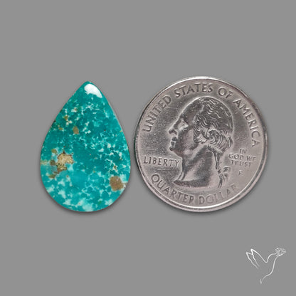 Arizona Patagonia Turquoise Cabochon
