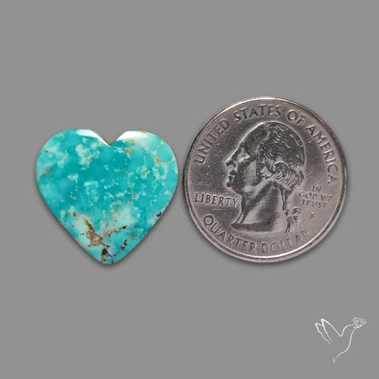 Arizona Patagonia Turquoise Heart Cabochon