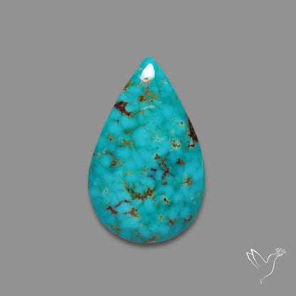 Arizona Patagonia Turquoise Cabochon