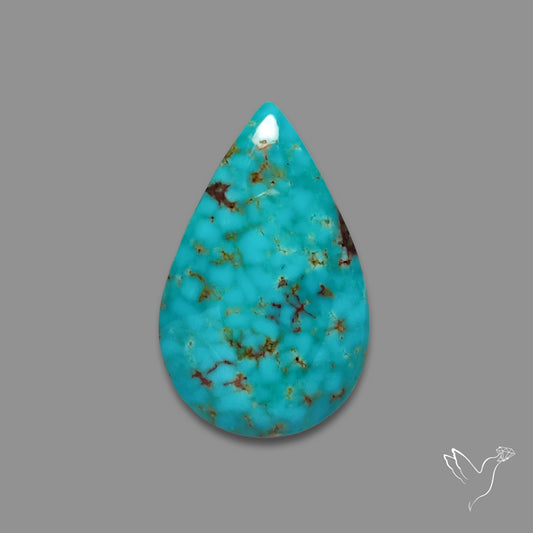 Arizona Patagonia Turquoise Cabochon