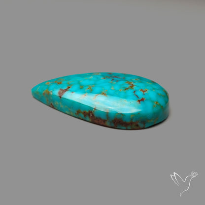 Arizona Patagonia Turquoise Cabochon