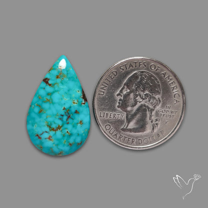 Arizona Patagonia Turquoise Cabochon