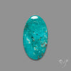 Arizona Patagonia Turquoise Cabochon