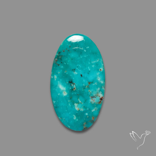Arizona Patagonia Turquoise Cabochon