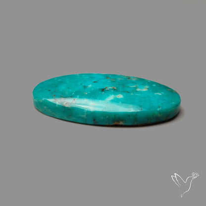Arizona Patagonia Turquoise Cabochon