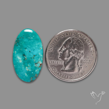 Arizona Patagonia Turquoise Cabochon