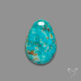 Arizona Patagonia Turquoise Cabochon