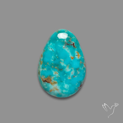Arizona Patagonia Turquoise Cabochon
