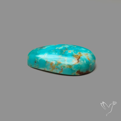 Arizona Patagonia Turquoise Cabochon