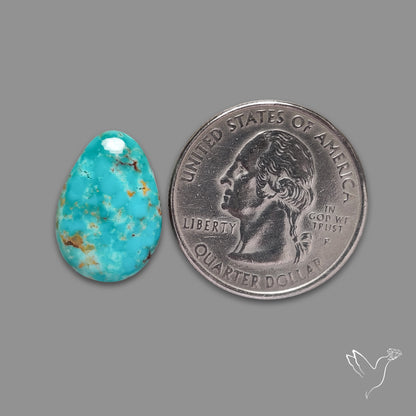 Arizona Patagonia Turquoise Cabochon