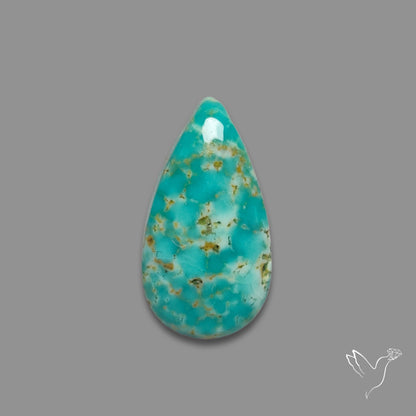 Arizona Patagonia Turquoise Cabochon