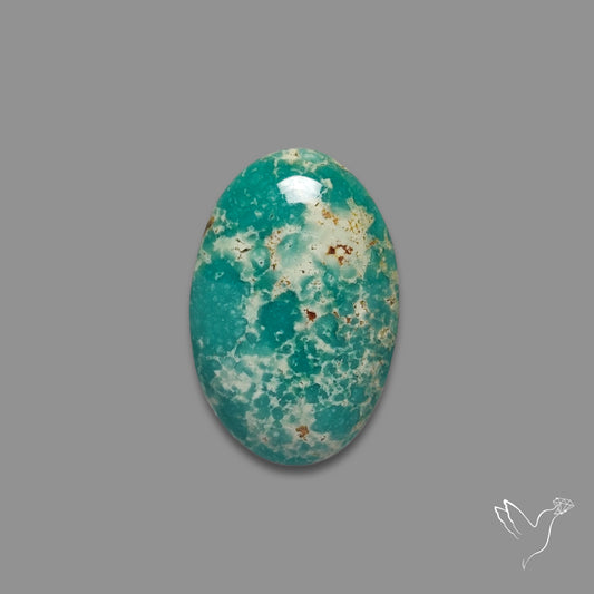Arizona Patagonia Turquoise Cabochon