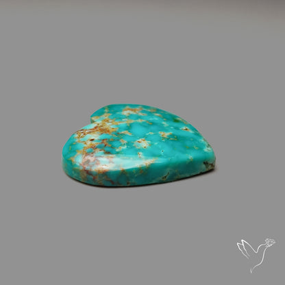 Arizona Patagonia Turquoise Heart Cabochon