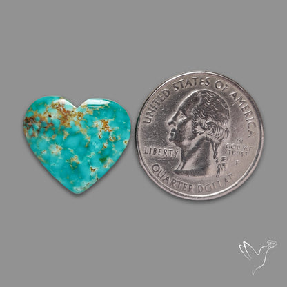Arizona Patagonia Turquoise Heart Cabochon