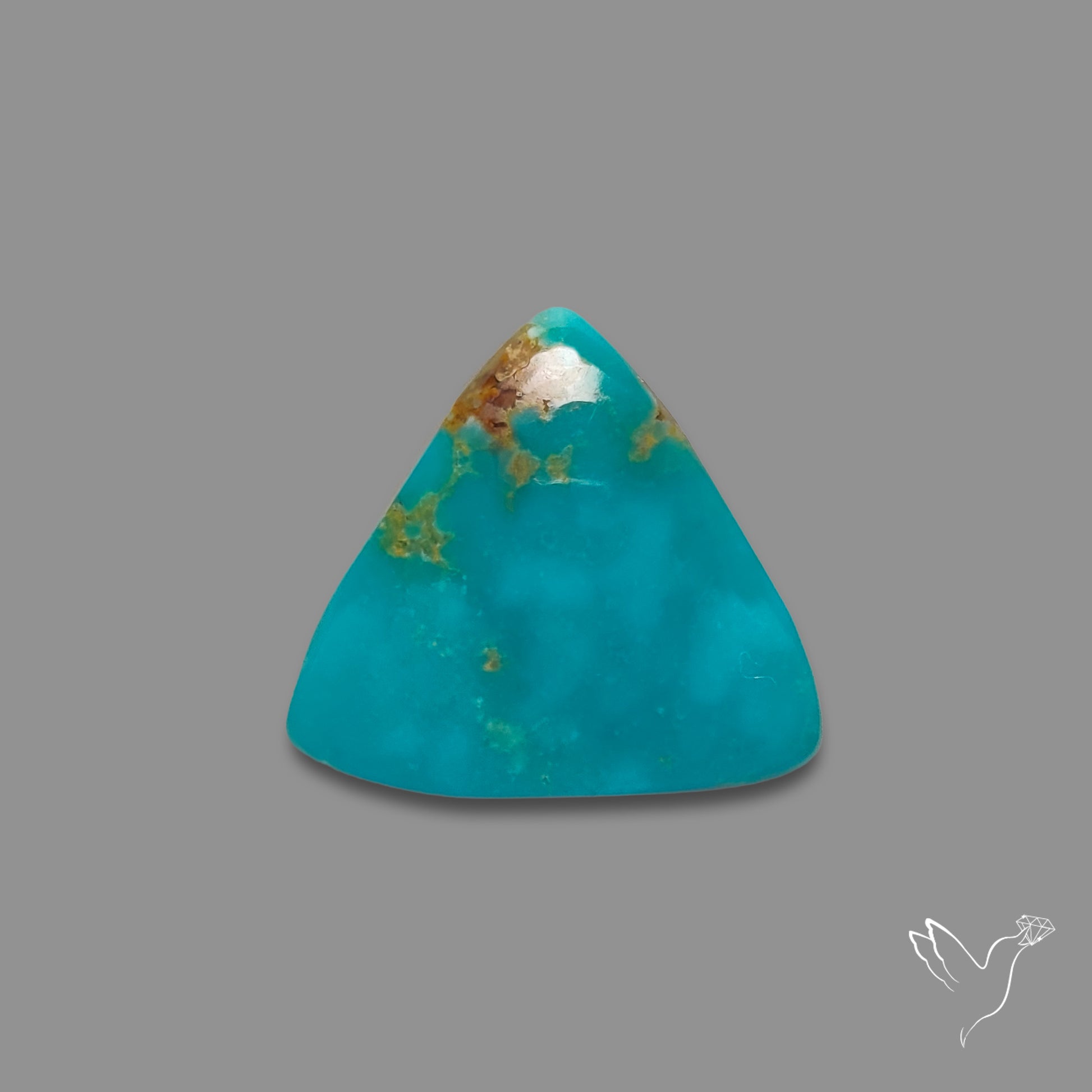 Arizona Patagonia Turquoise Cabochon
