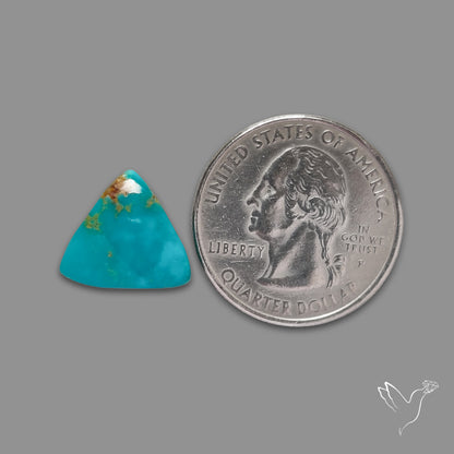 Arizona Patagonia Turquoise Cabochon