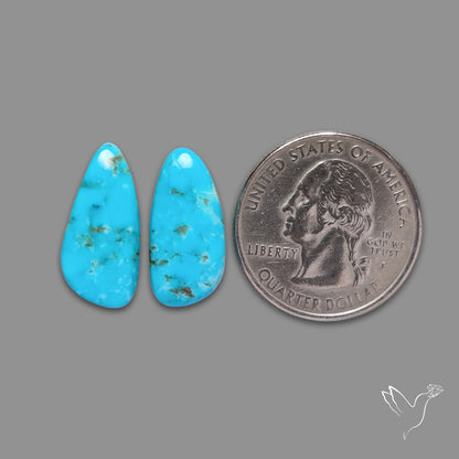 Kingman Turquoise Pair