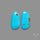 Kingman Turquoise Pair