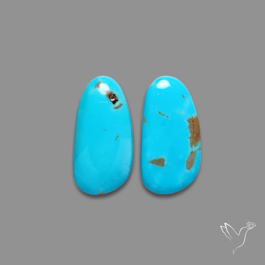Kingman Turquoise Pair