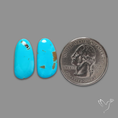Kingman Turquoise Pair