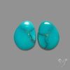 Kingman Turquoise Pair