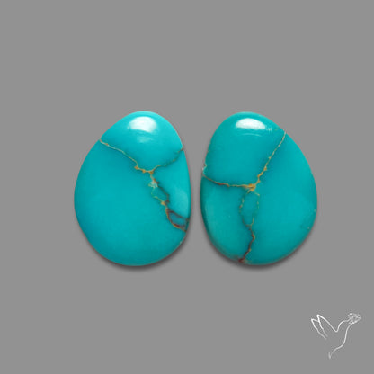 Kingman Turquoise Pair