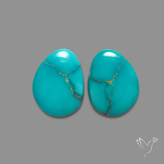 Kingman Turquoise Pair
