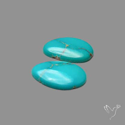 Kingman Turquoise Pair