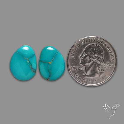 Kingman Turquoise Pair