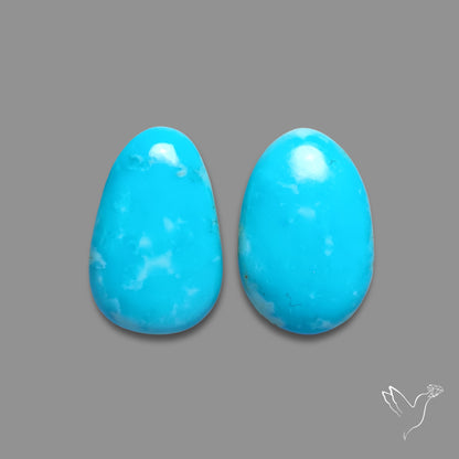 Kingman Turquoise Pair