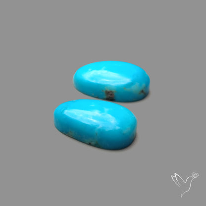 Kingman Turquoise Pair