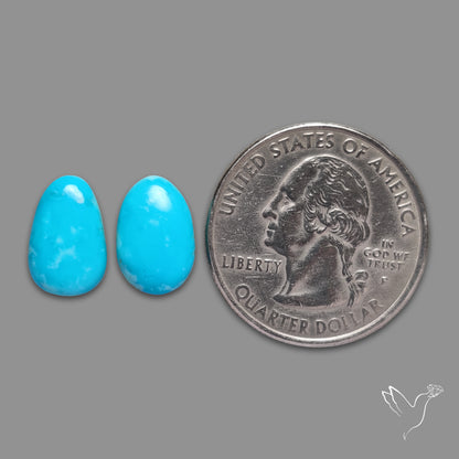 Kingman Turquoise Pair