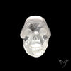 Himalayan Quartz Skull Carving