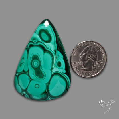 Malachite Cabochon Botryoidal Patterns